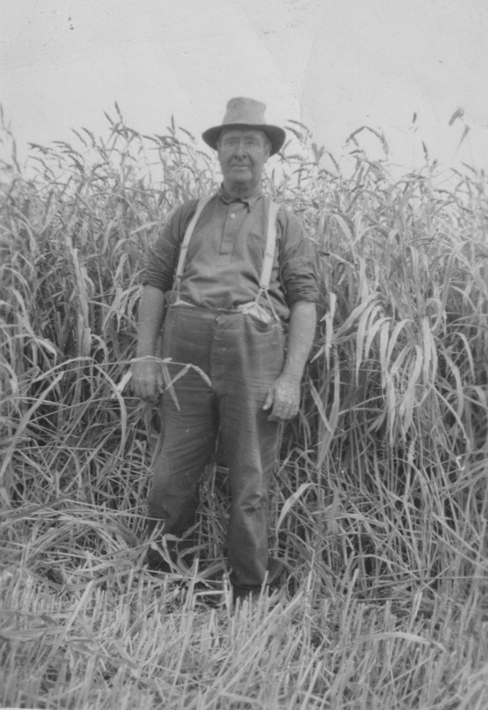 A farmer standing in his crop